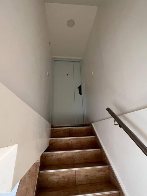 50m2 *