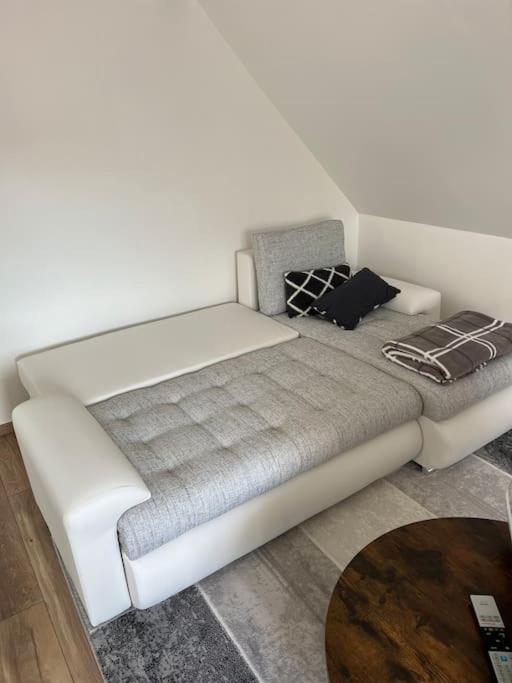 50m2 *